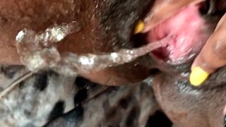 Cumming, Fingering And Pissing All Over Myself. Hardcore Close Up