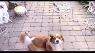 Dirty Cutie Adores Licking Balls